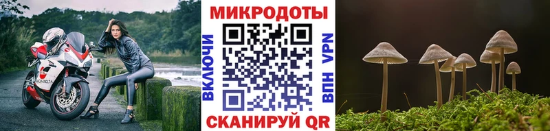 Галлюциногенные грибы Cubensis  Купить где  Губаха 